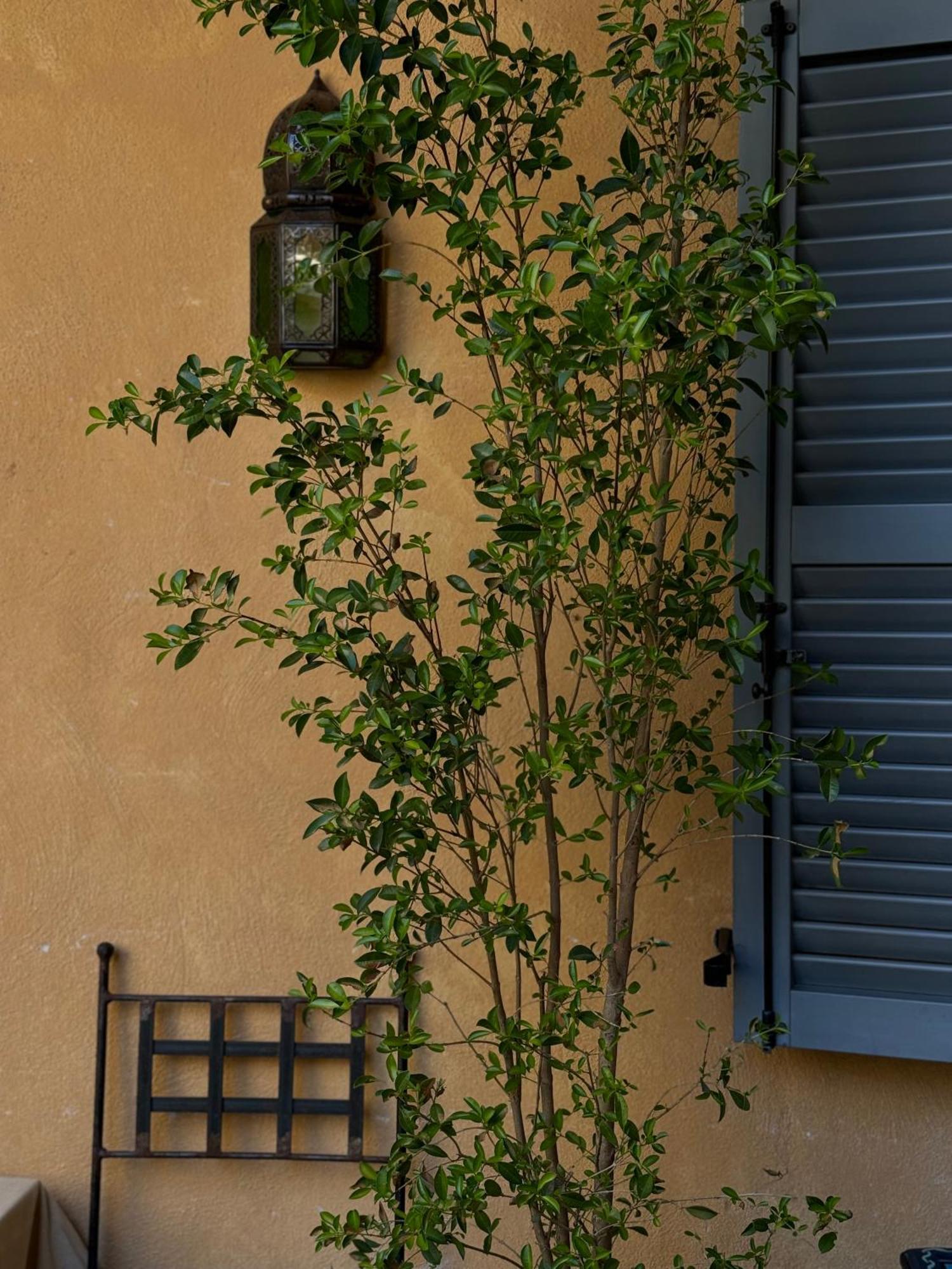 Appartement In The Heart Of *